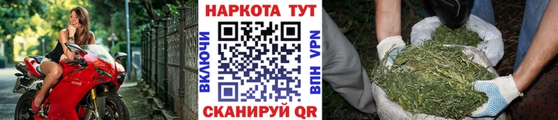 Галлюциногенные грибы Олонец