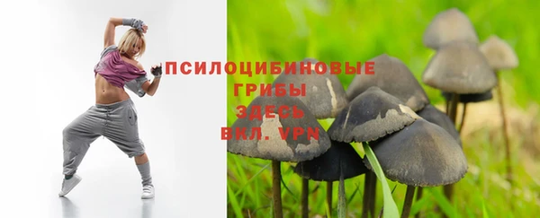 меф Дмитров