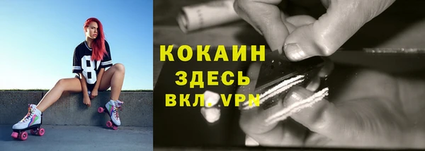 сатива Дмитриев
