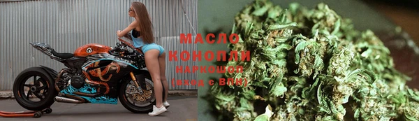 сатива Дмитриев