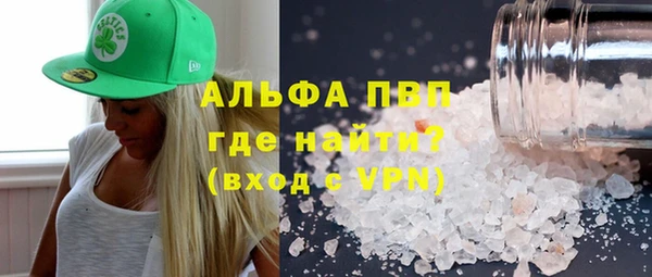 сатива Дмитриев